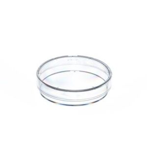 116528.jpg Greiner Petrischale mit Nocken