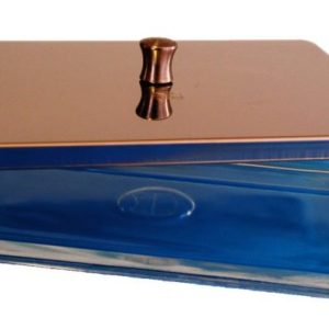 Instrumentenschalen aus Glas mit Deckel 20 x 10 x 5 cm | mit Deckel