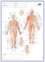 123555.jpg 3B Meridian-Notizblock 50 Blatt