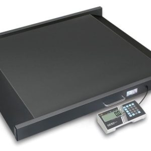 KERN MWS 300K100M Rollstuhlwaage max. 300kg mit Eichzulassung