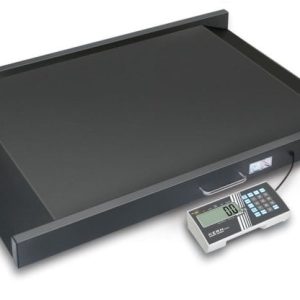 KERN MWS 400K100DM Zweibereichs-Rollstuhlwaage max. 300kg, 400kg