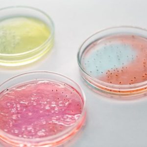 Nutriplate Fertignährböden