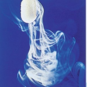 157950.jpg B. Braun Vereiser Askina® Skin Freeze