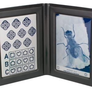 Trusetal Stereotest LEA Fliege