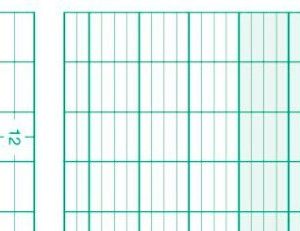 Diagramm Halbach Registrierpapier für CTG-Gerät Kranzbühler FetaCare